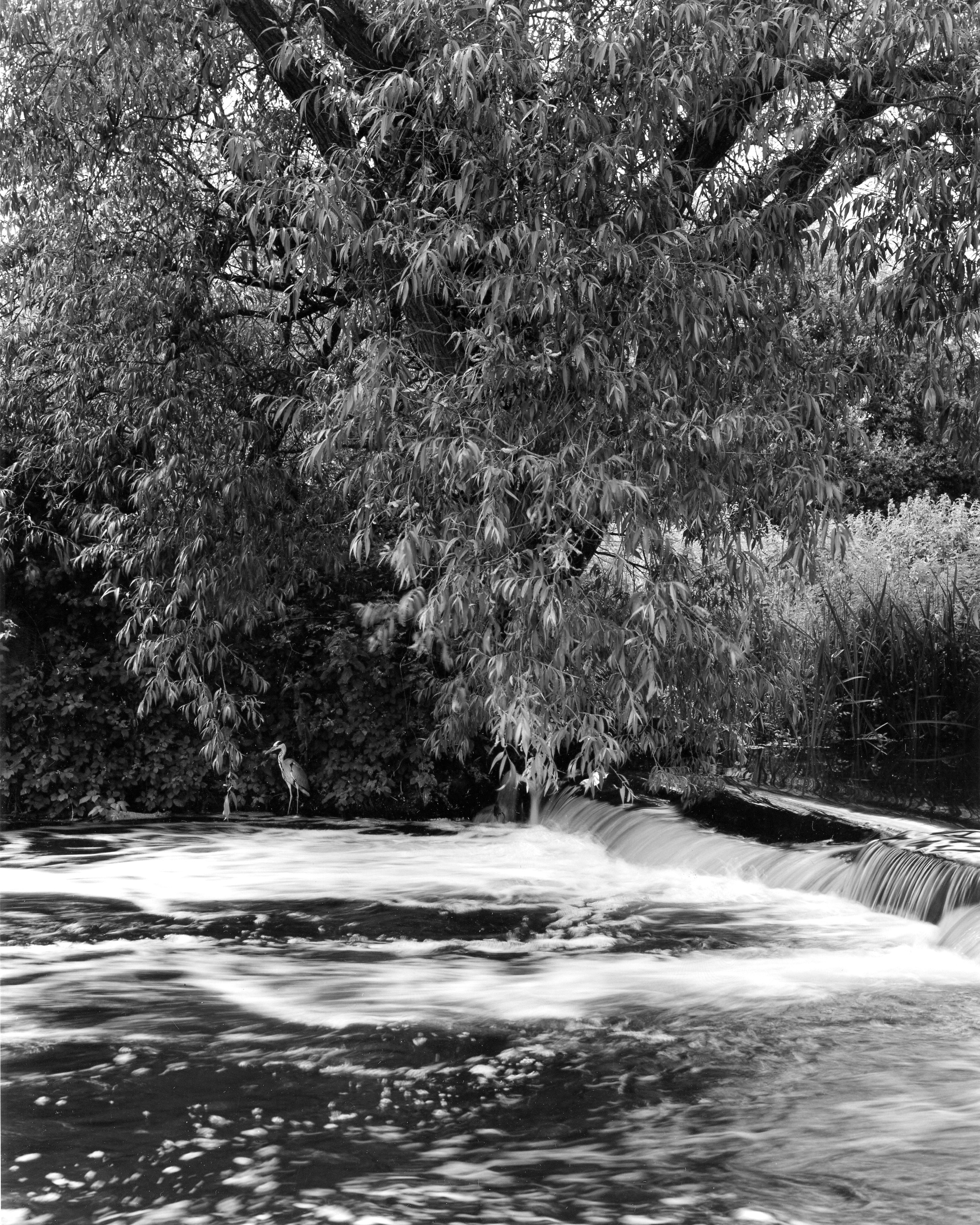 River Gade weir at Cassiobury Park, Watford