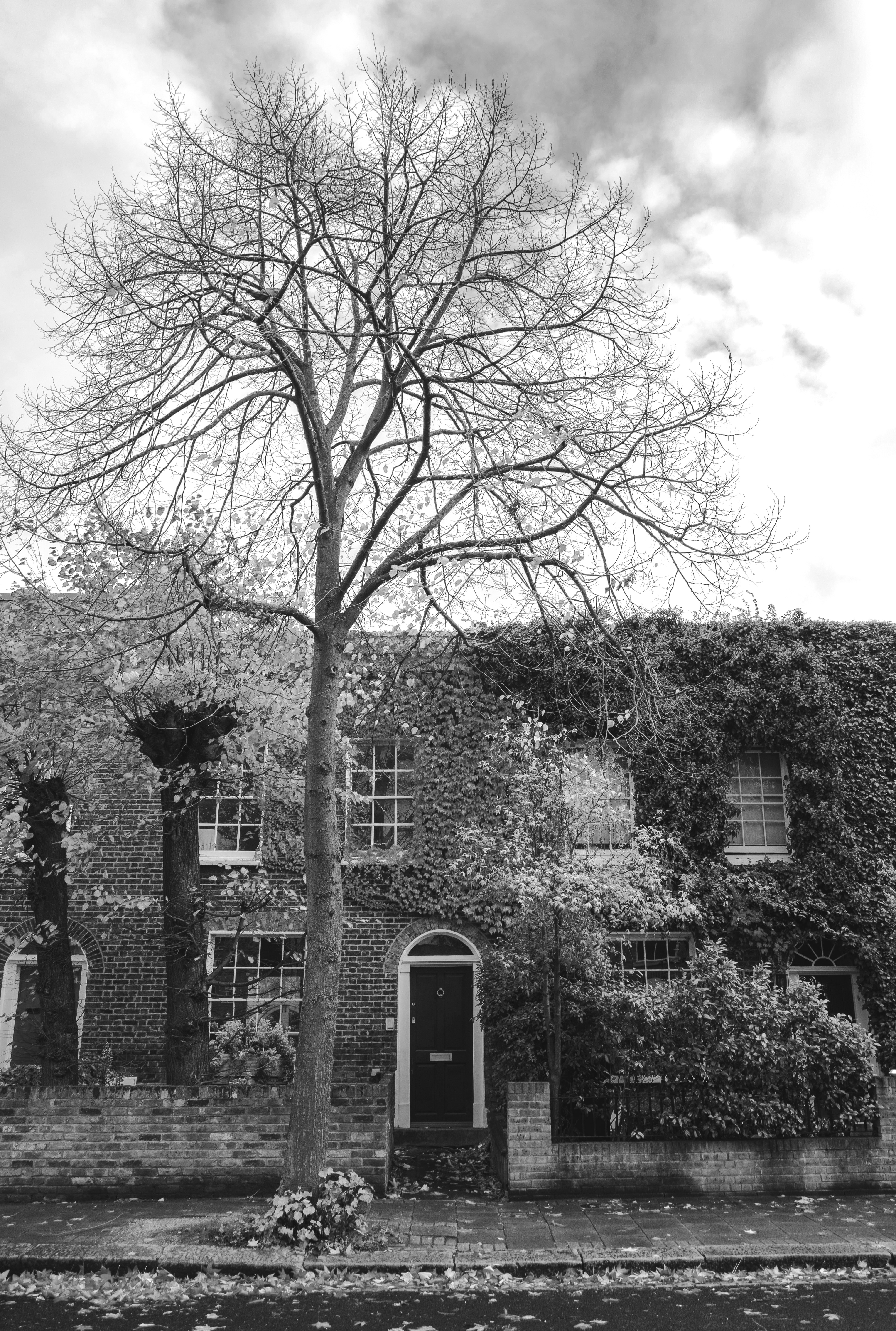 Ivy-clad period property on a Watford street